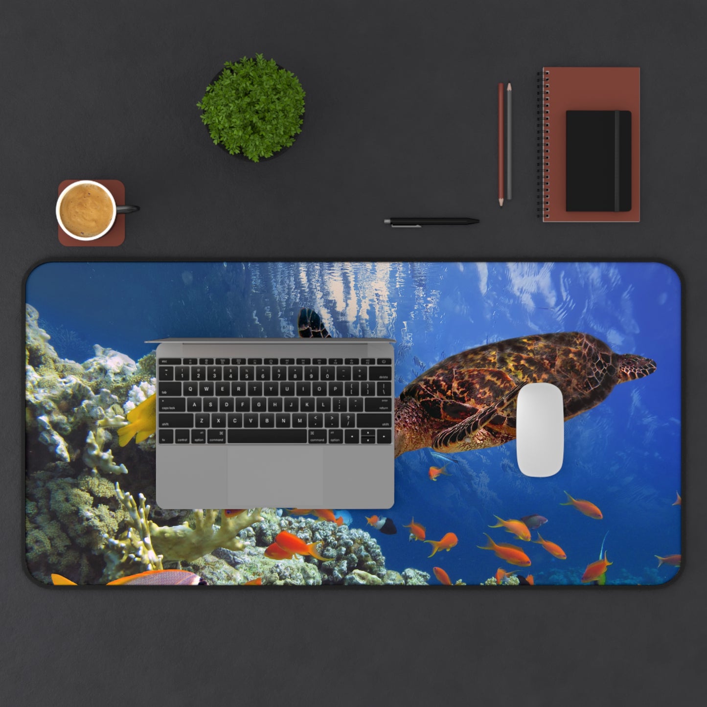 Ocean Explorer Turtle Desk Mat